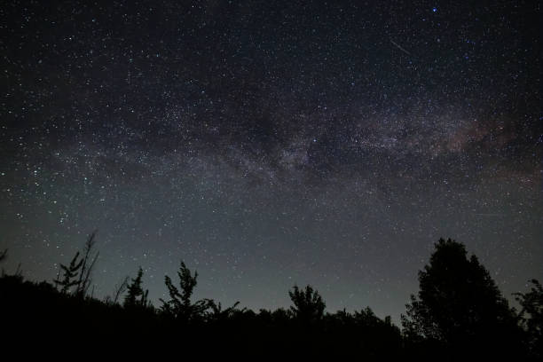 istock night starry sky with milky way above forest silhouette 1320829617