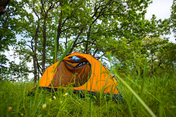 istock closeup orange touristic tent stay on green forest glade 1320830346