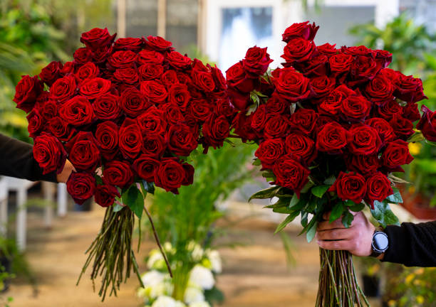 istock Hand holding a large bouquet of red roses 1320830576