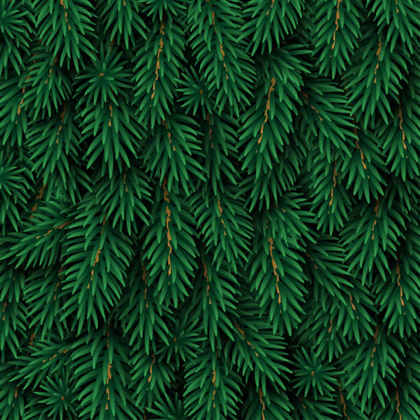 Christmas tree green background Merry Christmas and Happy New Year winter background with realistic pine tree branches. Vector illustration. Xmas fir backdrop graphic element for festive poster design. needle plant part stock illustrations