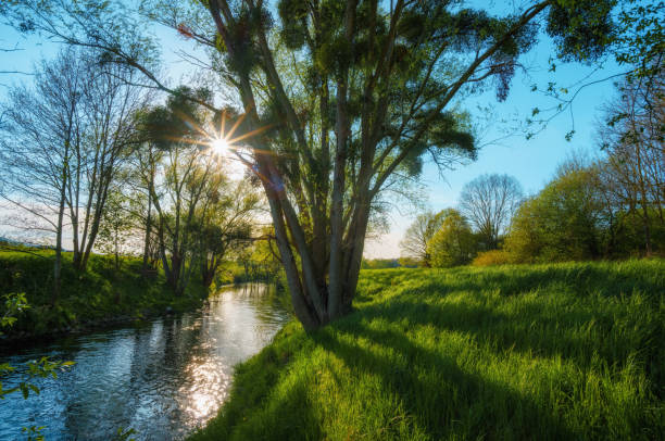An idyllic sunset on a small river with green embankments