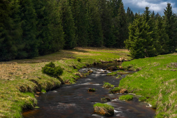 istock Rolava river with fresh meadows and forests in spring day 1320835260