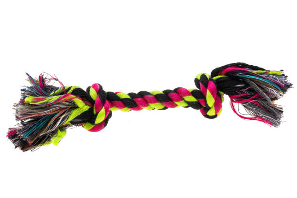 istock toys for dogs isolated 1320836662