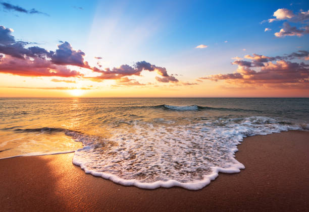 istock Colorful ocean beach sunrise with deep blue sky and sun rays. 1320836726