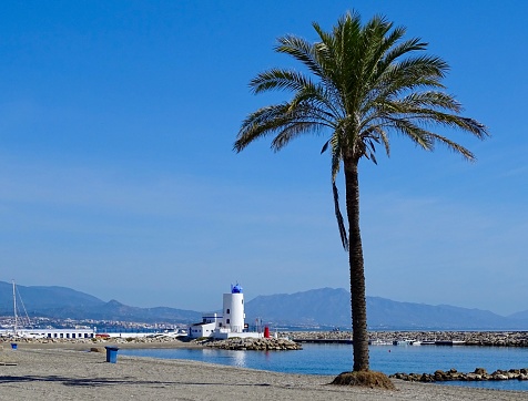 Panoramic view of the beach in Duquesa in Spain with palm trees and lighthouse