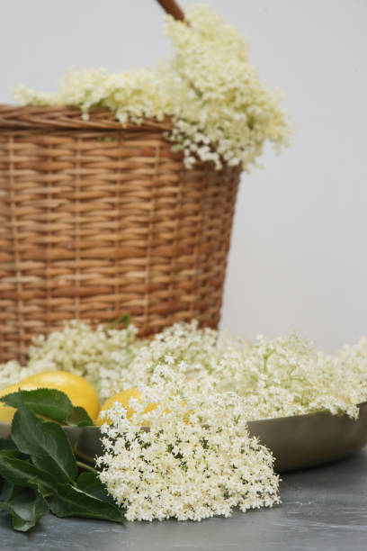 istock Wicker basket full of elderberry flowers. 1320838990
