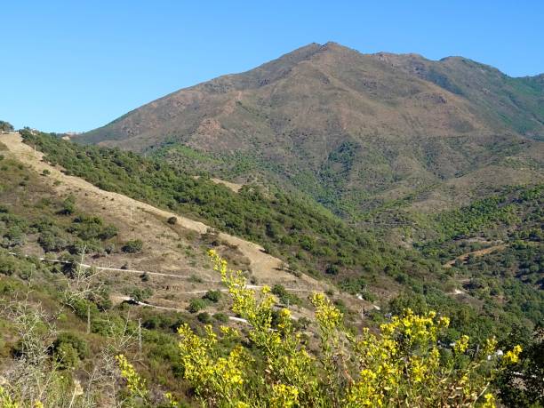 istock The Sierra Bermeja mountains in Spain 1320839022