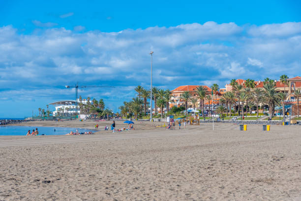 playa de las vistas em tenerife, ilhas canárias, espanha. - 6723 - fotografias e filmes do acervo