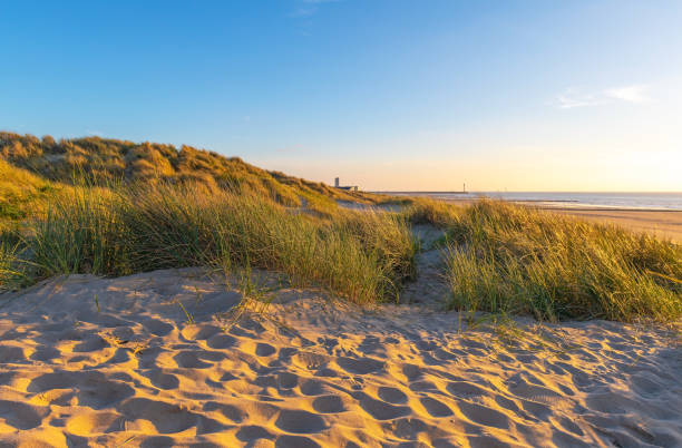 istock Sand Dunes Summer Sunset, Oostende, Belgium 1320841335