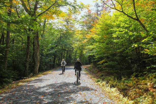 Bikers along the autumn leaf covered Carriage Roads of Acadia National Park stock photo