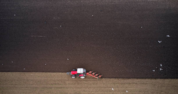 istock Directly above farmer plowing field 1320845658
