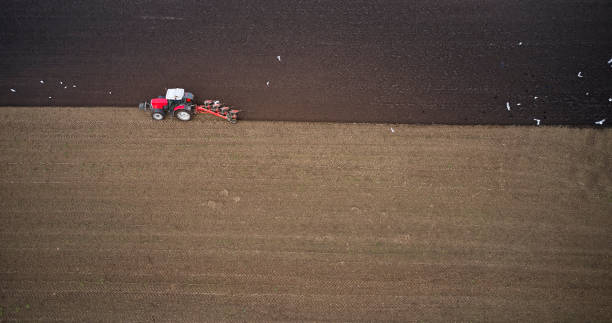 istock Directly above farmer plowing field 1320845680