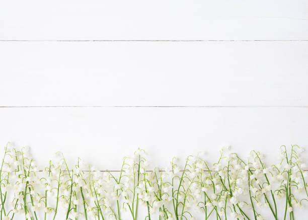 istock May white flowers on a wooden horizontal white background 1320846373