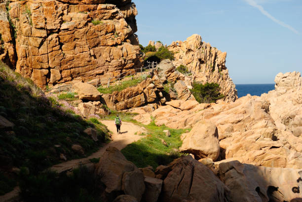 istock The path along the coast to Li Cossi beach 1320848691