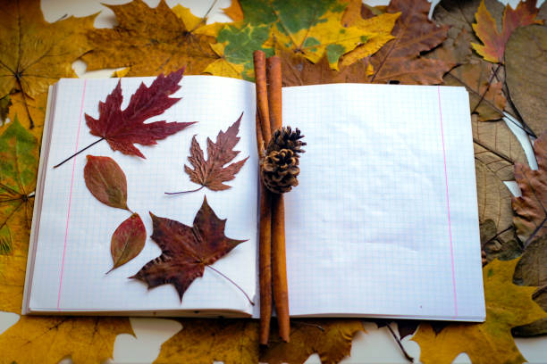 istock The autumn theme is back to school. The yellowed leaves lie on a notebook. 1320848695