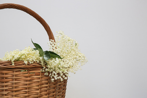 Bouquet of flowers in the basket on grass