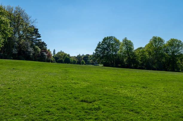 istock Locke Park in Barnsley, South Yorkshire 1320850961