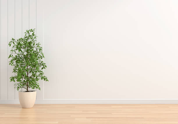 istock Green plant in white living room with copy space, 3D rendering 1320855850