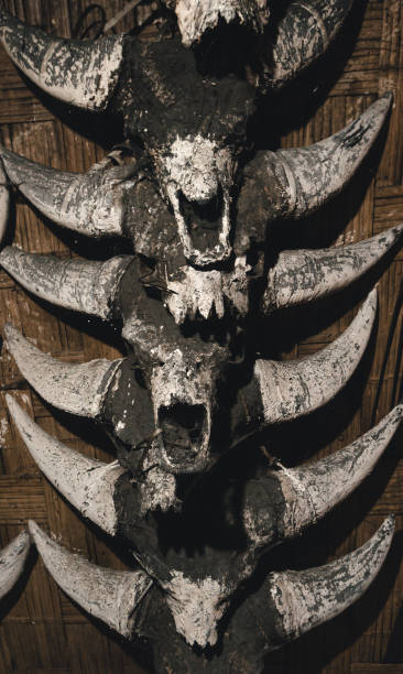 istock The Gayal skull also known as Mithun. 1320857704