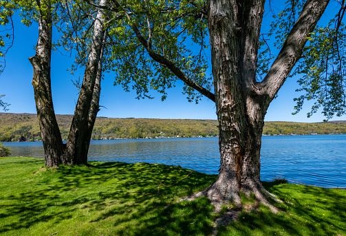 Looking North on Honeoye Lake in the Finger Lakes Region of new York