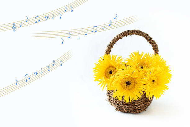yellow gerbera bouquet----spider flowered type---like sun flower