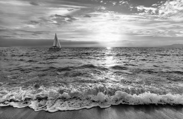 Sailboat Ocean Sunset Black And White A Sailboat Is Sailing Out To Sea As a Gentle Wave Rolls to Shore In Black And White Image Format sailboat photos stock pictures, royalty-free photos & images
