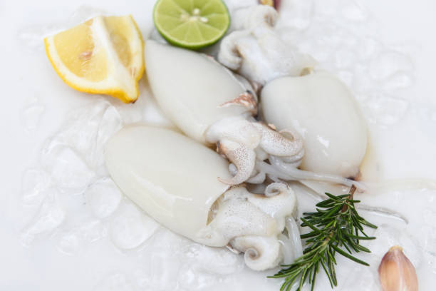 calamares de mariscos sobre hielo para cocinar la comida en el restaurante, sepia de pulpo cruda fresca gourmet del océano con limón y romero en plato blanco - sepia fotografías e imágenes de stock