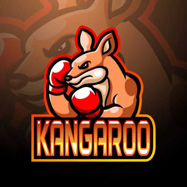 Boxing kangaroo mascot design Vector illustration of Boxing kangaroo mascot design kangaroos fighting stock illustrations