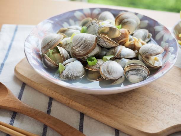 asian food shellfish soup and cabbage - clam imagens e fotografias de stock