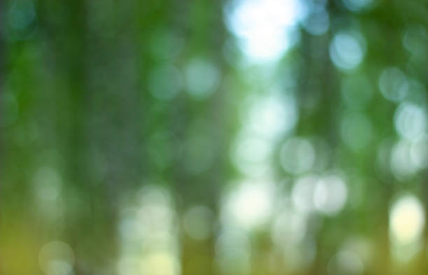 istock Beautiful abstract natural green background. Defocused blurry lights. Bokeh. Concept for design 1320894398