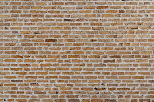 Brick / background / wall on fine day