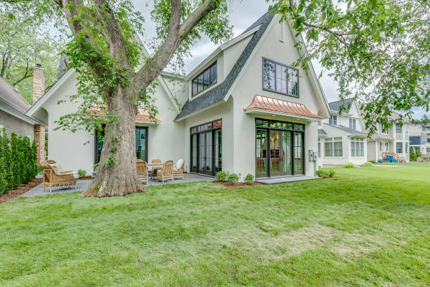 istock Large mature tree in backyard of two story home 1320898446