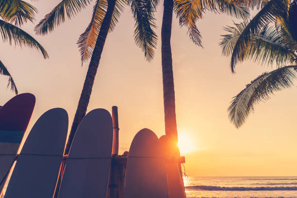 istock Surfboard and palm tree on tropical sunset beach abstract background. 1320900322