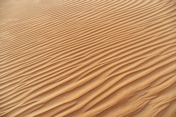 istock Wavy sand texture in Dubai desert close up 1320902626