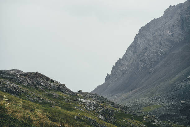 istock Atmospheric highlands landscape with narrow mountain valley and sharp rocks on steep slope under gray sky. Bleak mountain scenery with pointed rockies on mountainside and glen in overcast weather. 1320903159