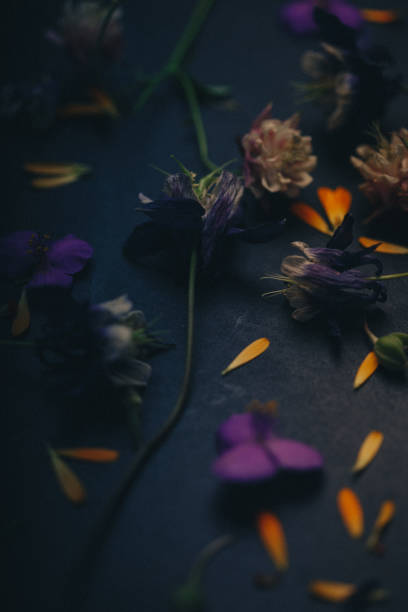 istock Flat lay of spring flowers 1320905388
