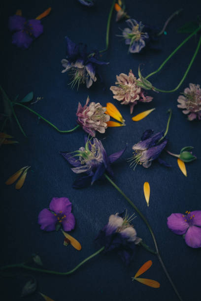 istock Flat lay of spring flowers 1320905394