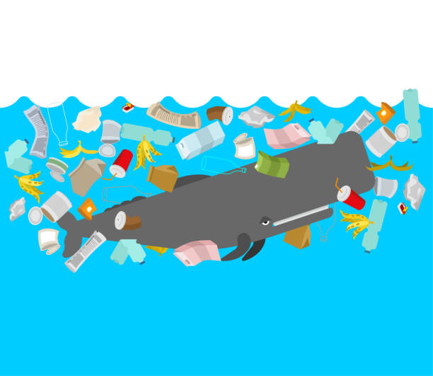 istock Sperm whale and garbage in ocean. cachalot and rubbish. Ocean and environment pollution concept 1320905503