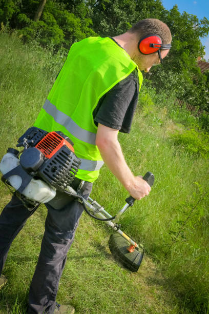 istock Physical worker mowing tall grass, weed with grass trimmer 1320905532