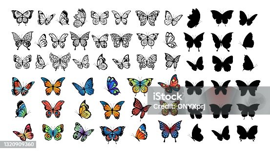 190+ Silhouette Of A How To Draw A Butterfly Flying Illustrations ...