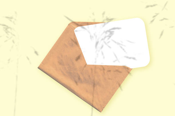 istock Natural light casts shadows from the plant on an envelope with a sheet of white paper lying on a yellow textured background. Mockup 1320909510