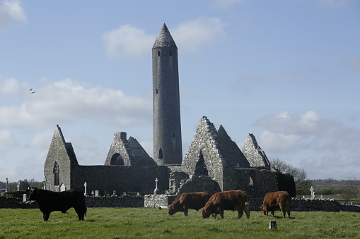 Athlone and It's ruins