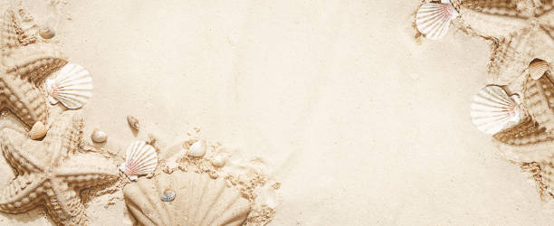 istock a starfish made of sand. long banner 1320917491