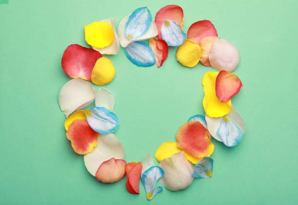 istock Frame of beautiful petals on green background, top view. Space for text 1320921566