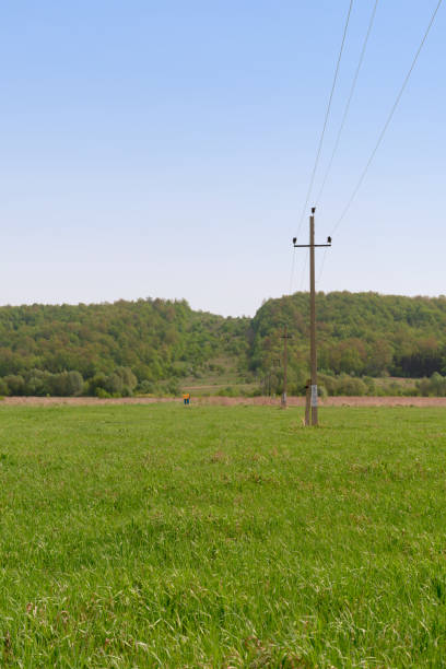 istock Poles with power lines through a green field and forest 1320922634