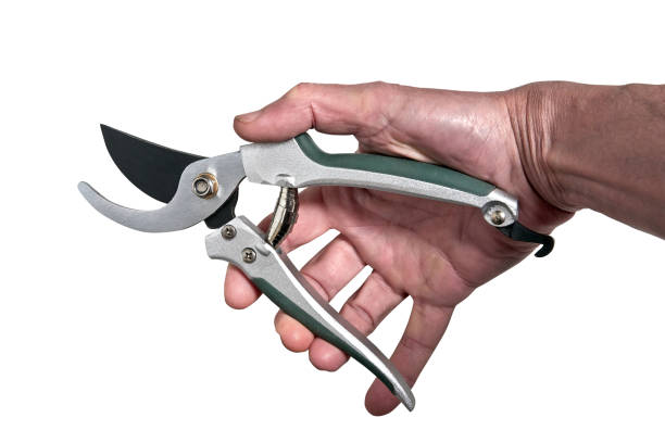 istock Male hand holding a Garden scissor tool 1320922713