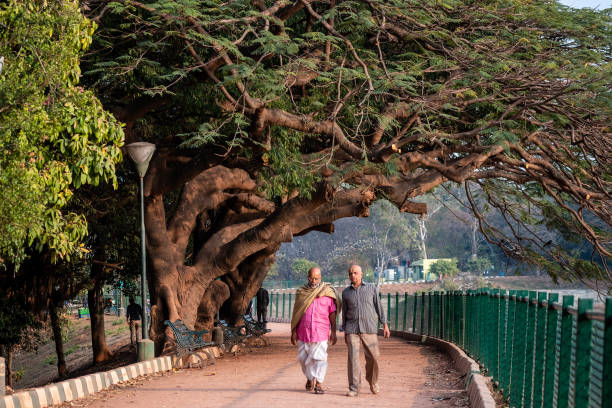 two men taking a walk at the lalbagh botanical gardens - lalbagh imagens e fotografias de stock