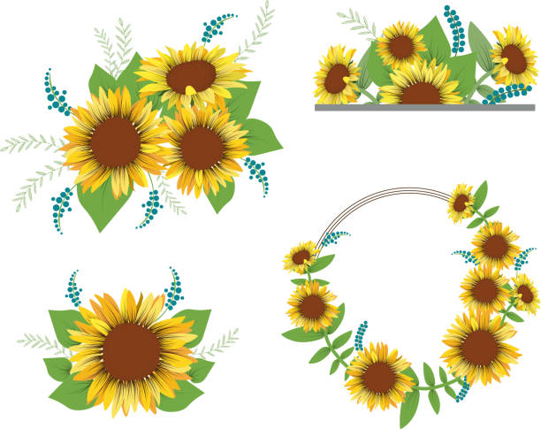 illustrazioni stock, clip art, cartoni animati e icone di tendenza di collezione girasole con bocciolo e foglia, corona e decorazione di bordo. - circle nature botany bud