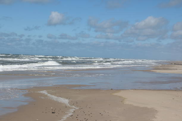 istock Early summer in Blokhus in northern Denmark 1320924037