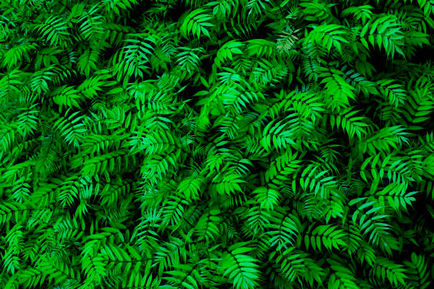 istock Green Natural Background in Summer. 1320924366